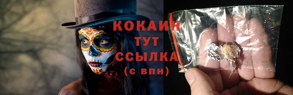 крисы Лагань