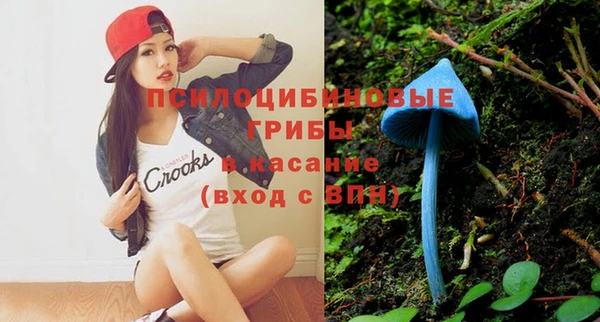 мескалин Лабытнанги