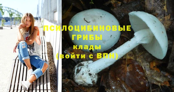 кристаллы Ладушкин