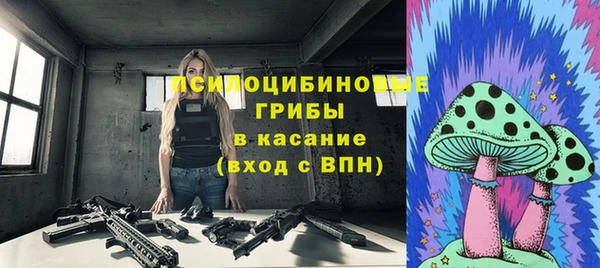 крисы Лагань